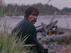   - ",  " (1978)