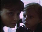   (II) -  (1983)