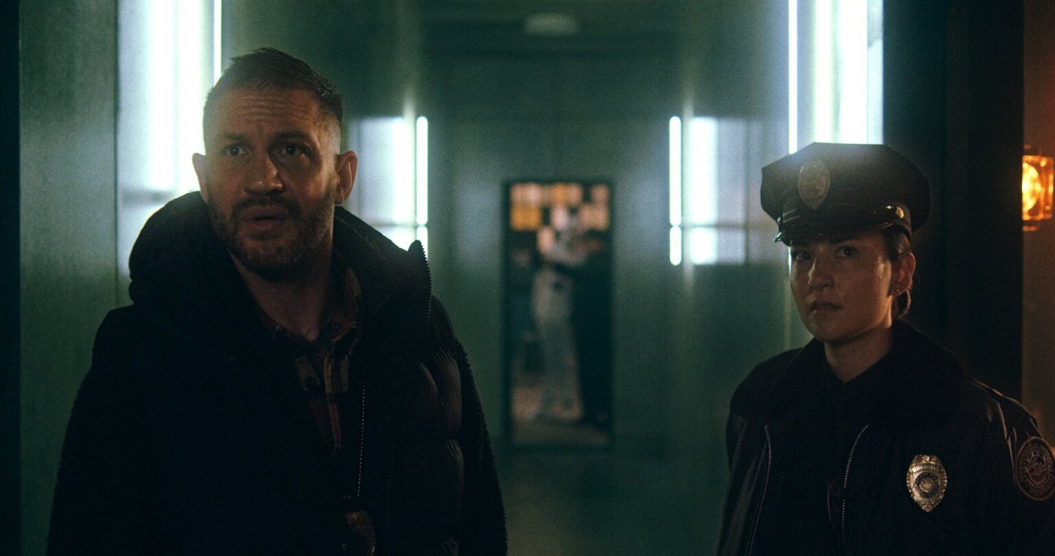  (2025)
