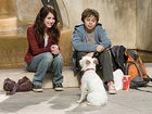   - "  " (2009)