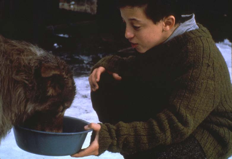   - "  , " (1989)