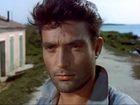   - "  " (1954)