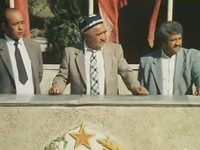 ",    " (1991)
