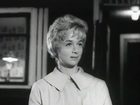   - " - ,  - " (1964)