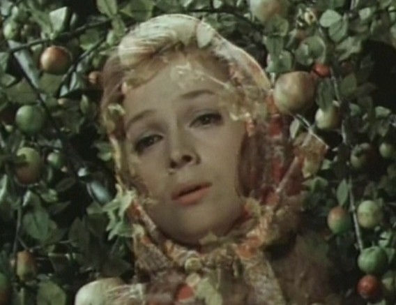      (1975)