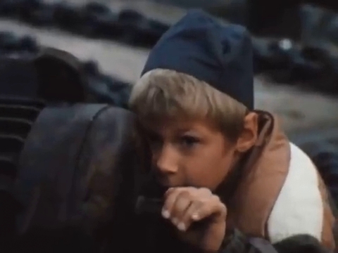   (VIII) - " " (1986)