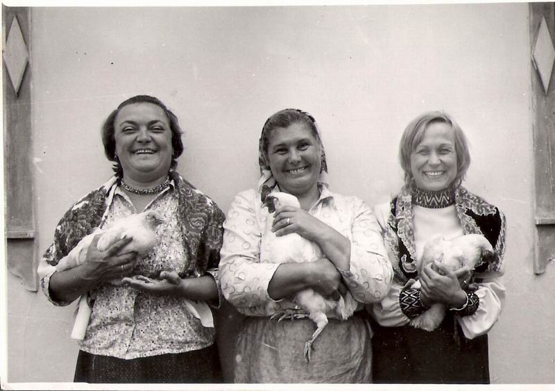    (1972)