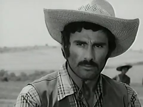   - " " (1972)