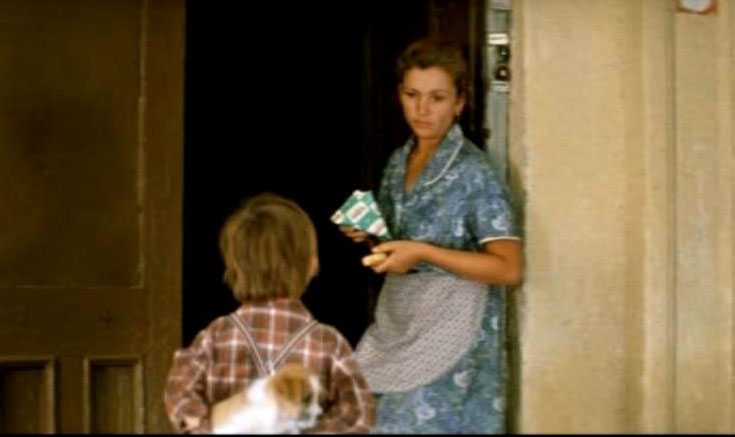     (1981)