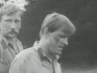   - " " (1980)