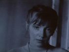   - "  ()" (1995)