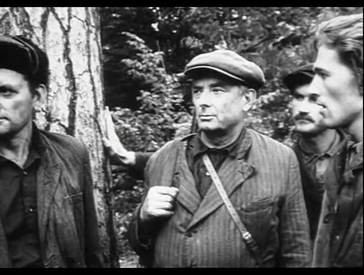    (1974)