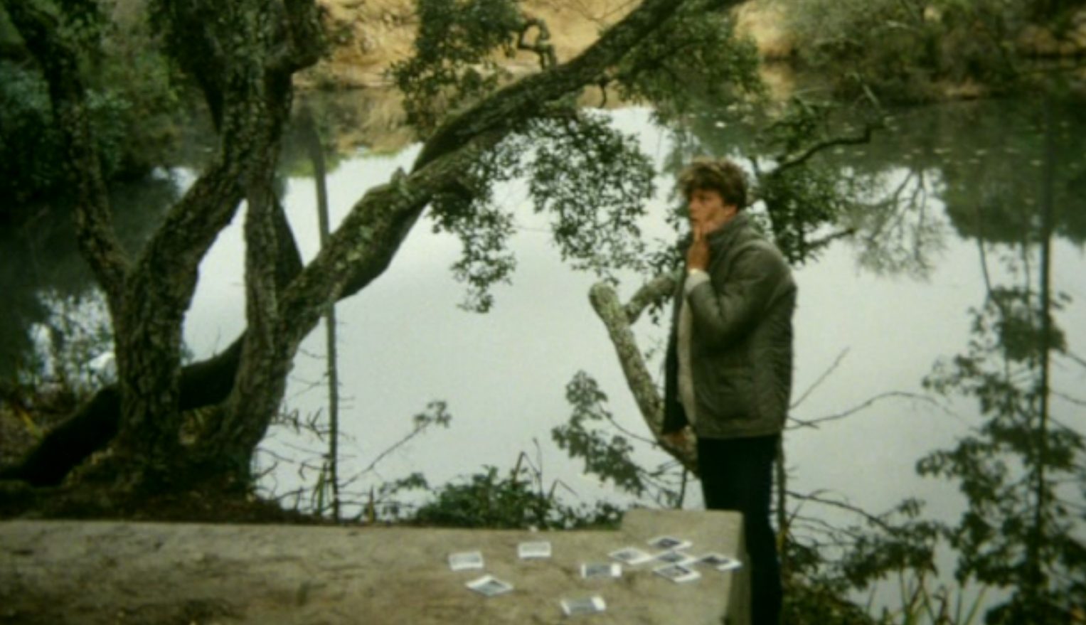   - "" (1981)