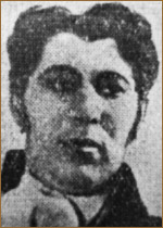 ϸ  (II)