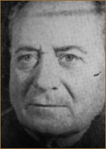 ϸ  (II)