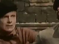  (1987)