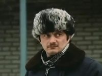   (1981)