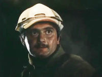    (1981)