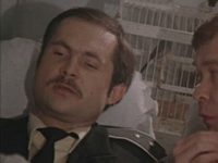   (1986)