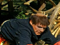   (1966)