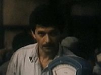    (1991)