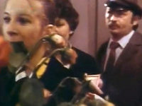   (1982)