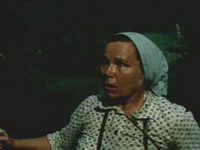   (1981)