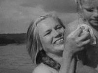  (1962)