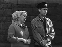   (1964)