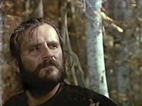   (1981)