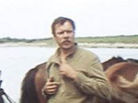    (1981)