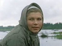   (1979)