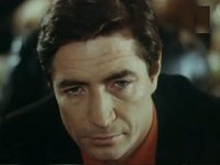    (1981)