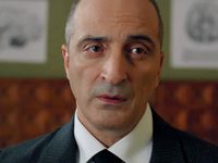  (2017)