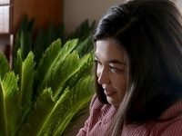  ,  - 3 (2019)