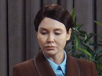   (2024)