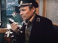  (1982)