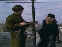   (1981)