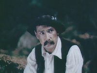  (1987)