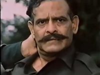    (1991)
