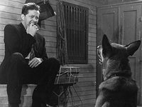   (1953)