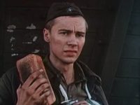  (1981)