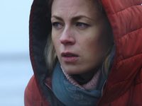   (2017)