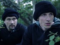   (2017)