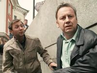 .    (2017)