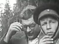     (1965)