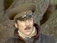    (1981)
