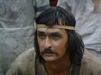   (1981)
