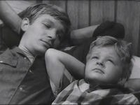    (1966)