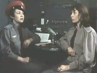   4-  (1981)